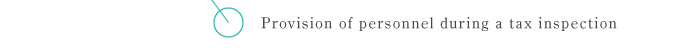 Provision of personnel during a tax inspection